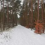 Bursztynowa 1 3* Sztutowo
