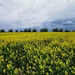 Bursztynowa 1