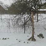 Bursztynowa 1