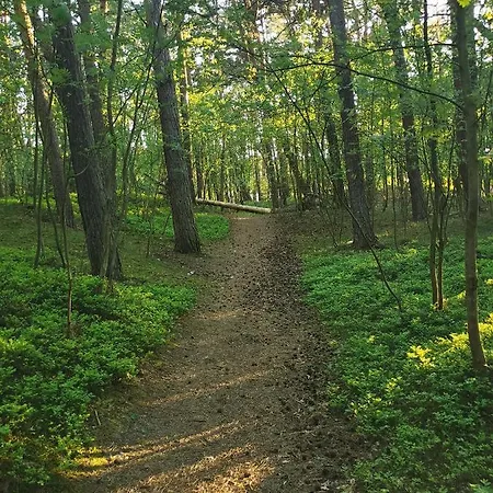 Bursztynowa 1 3* Sztutowo