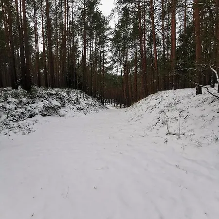 Penzion Bursztynowa 1