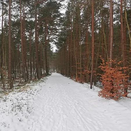 Bursztynowa 1 3* Sztutowo