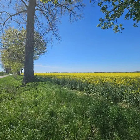 Bursztynowa 1