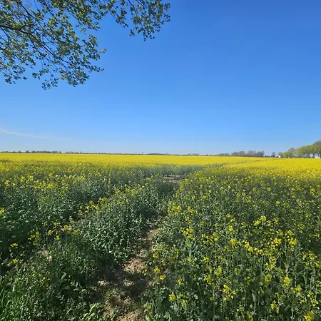 Konukevi Bursztynowa 1 3*