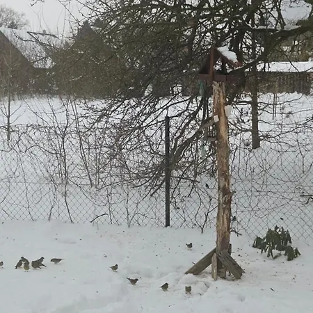 Bursztynowa 1
