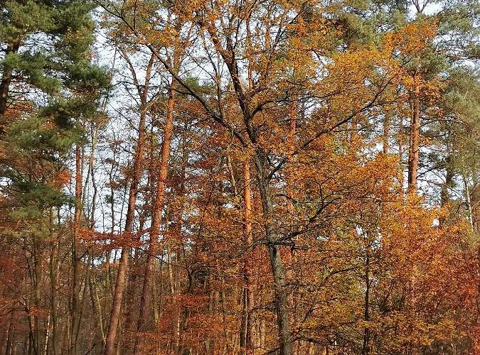 Bursztynowa 1 Pensjonat 3*