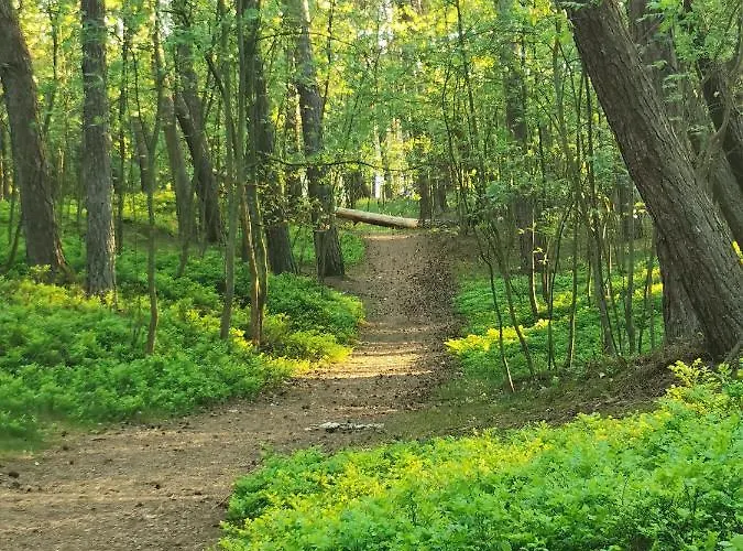 Pensjonat Bursztynowa 1