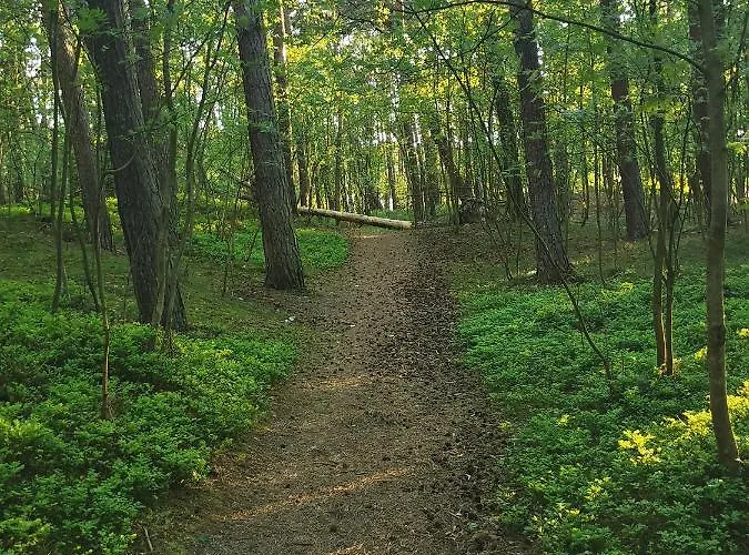 Bursztynowa 1 3* Sztutowo