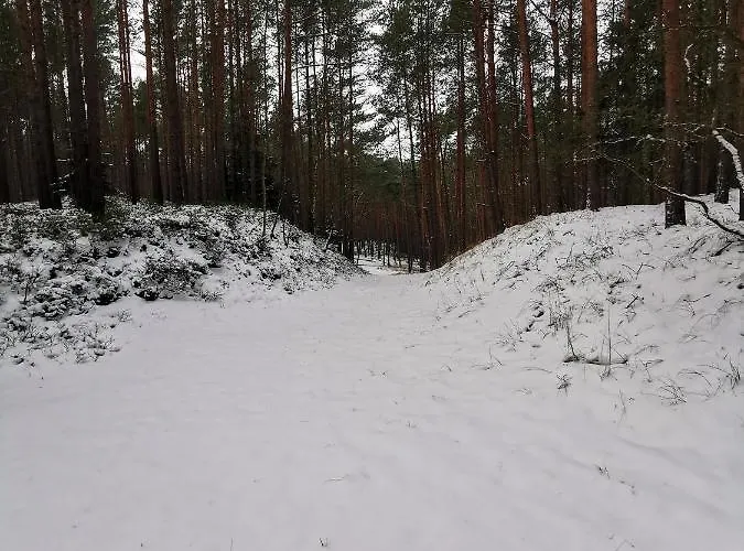 Pensjonat Bursztynowa 1