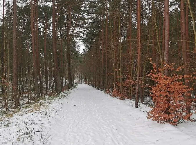 Bursztynowa 1 3* Sztutowo