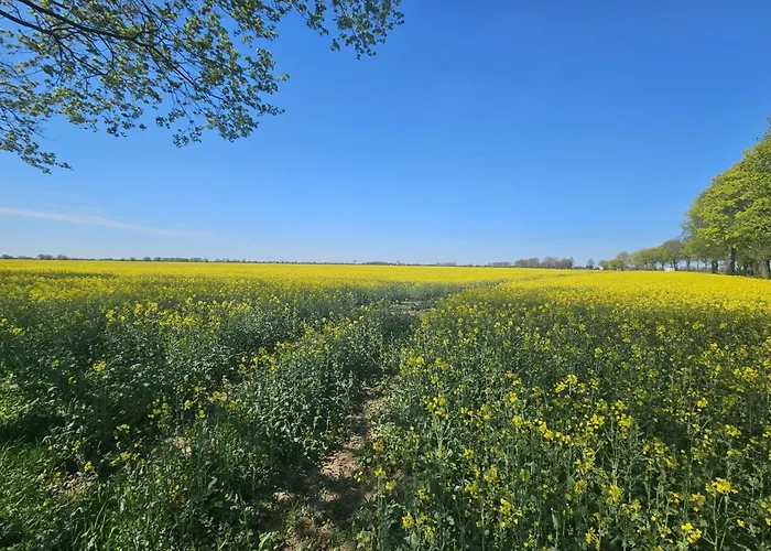 Pensjonat Bursztynowa 1 3*