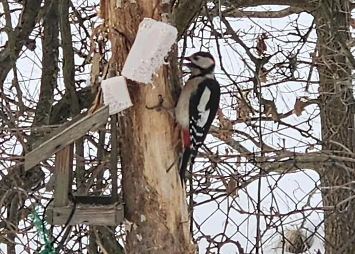 Bursztynowa 1 Pensjonat Sztutowo