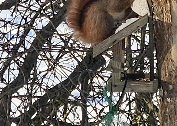 Bursztynowa 1 Sztutowo